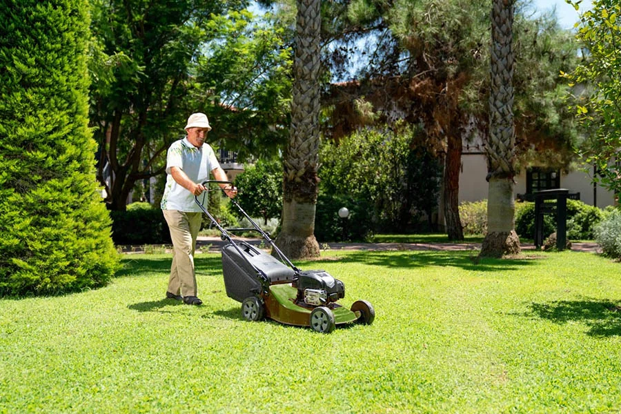 lithium battery mower